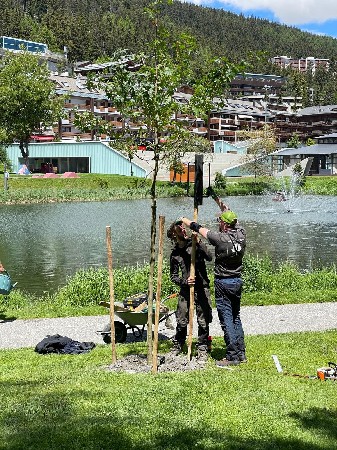 L'&eacute;quipe qualifi&eacute;e d'Arbre and Co en pleine plantation et tuteurage d'arbres &agrave; l'&eacute;tang d'Ycoor &agrave; Crans-Montana