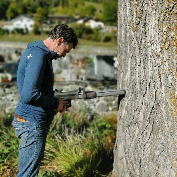 Arbre & Co, votre r&eacute;f&eacute;rent en Valais pour les expertises d'arbres